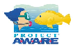 Project A.W.A.R.E